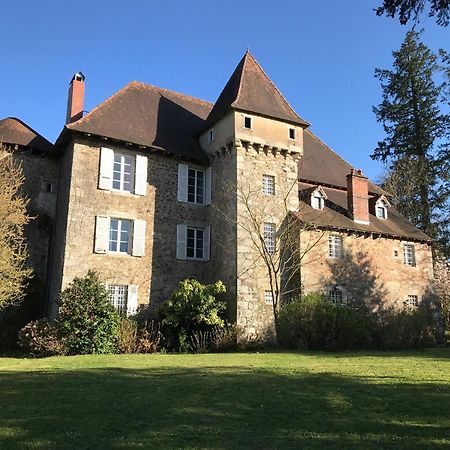 Chateau De Grand Bonnefont Limoges Dış mekan fotoğraf